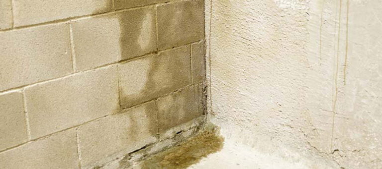 6 Warning Signs of Mold in Your Home—and Tips to Prevent It | Zander ...